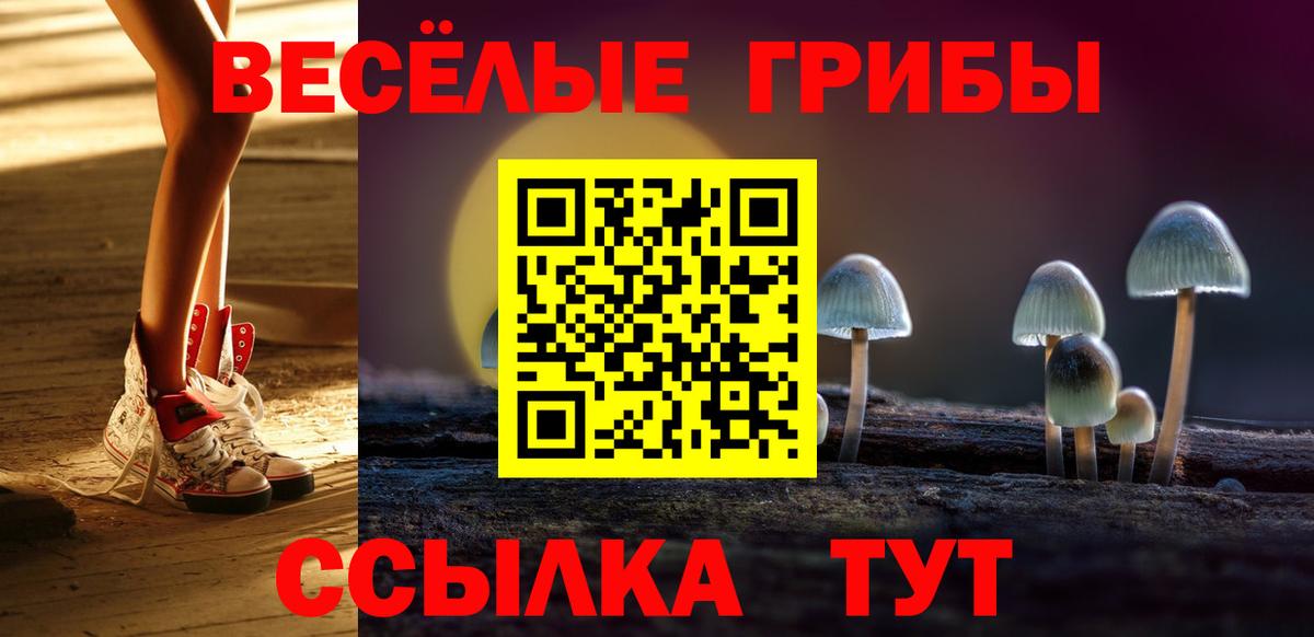 наркошоп  Псилоцибиновые грибы мицелий  Вход с VPN  Кизилюрт 
